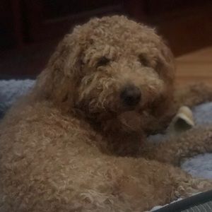 Meet your Posher, Stacie